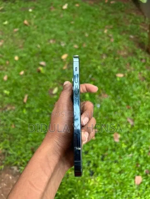 Apple iPhone 12 Pro (Used)