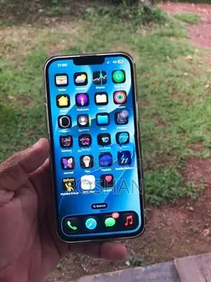 Apple iPhone 13 Pro Max (Used)