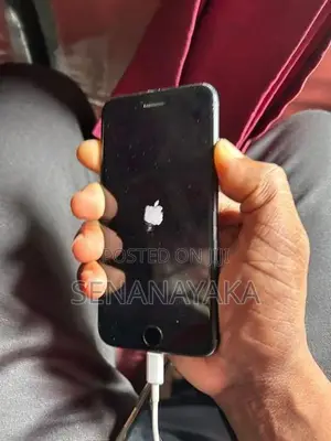 Apple iPhone 7 (Used)