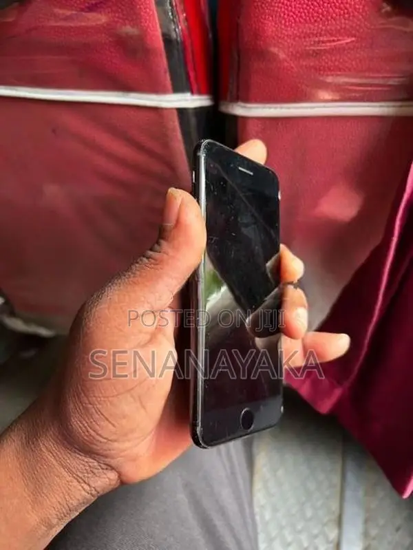 Apple iPhone 7 (Used)