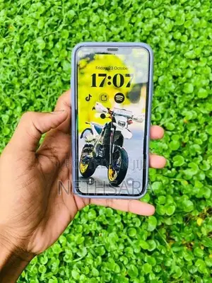 Apple iPhone X (Used)
