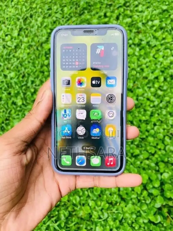 Apple iPhone X (Used)