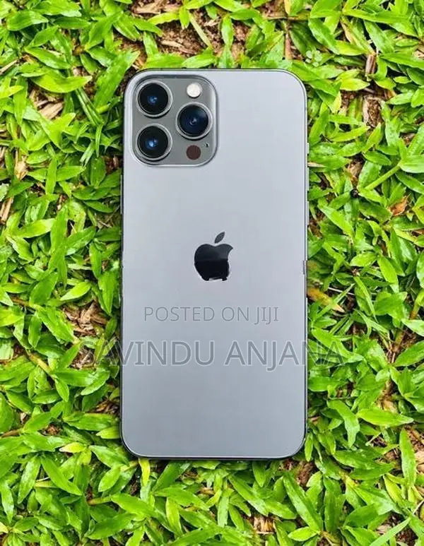 Apple iPhone 13 Pro Max (Used)