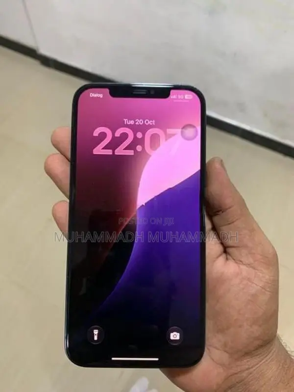 Apple iPhone 12 Pro Max (Used)