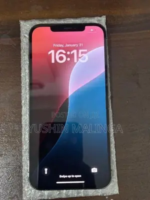 Apple iPhone 12 Pro Max (Used)
