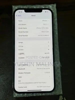 Apple iPhone 12 Pro Max (Used)