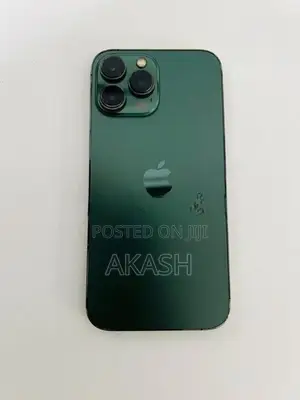 Apple iPhone 13 Pro Max (Used)
