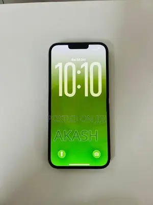 Apple iPhone 13 Pro Max (Used)