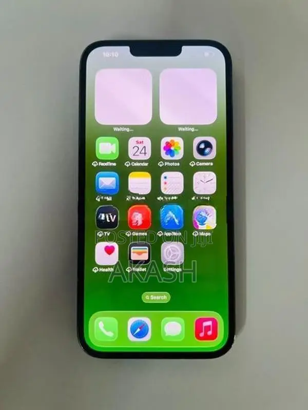 Apple iPhone 13 Pro Max (Used)