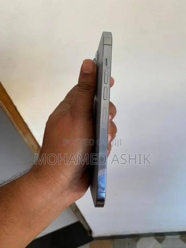 Apple iPhone 13 Pro Max (Used)
