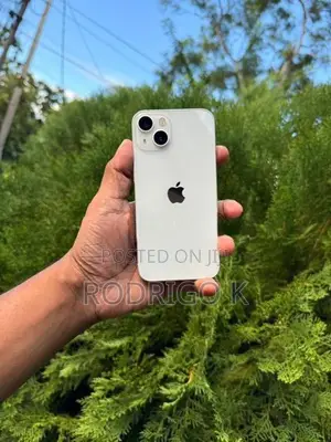 Apple iPhone 13 128GB (Used)