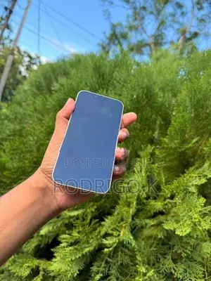 Apple iPhone 13 128GB (Used)