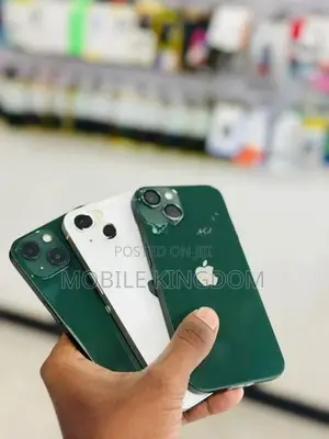 Apple iPhone 13 128GB Fullset Box (Used)