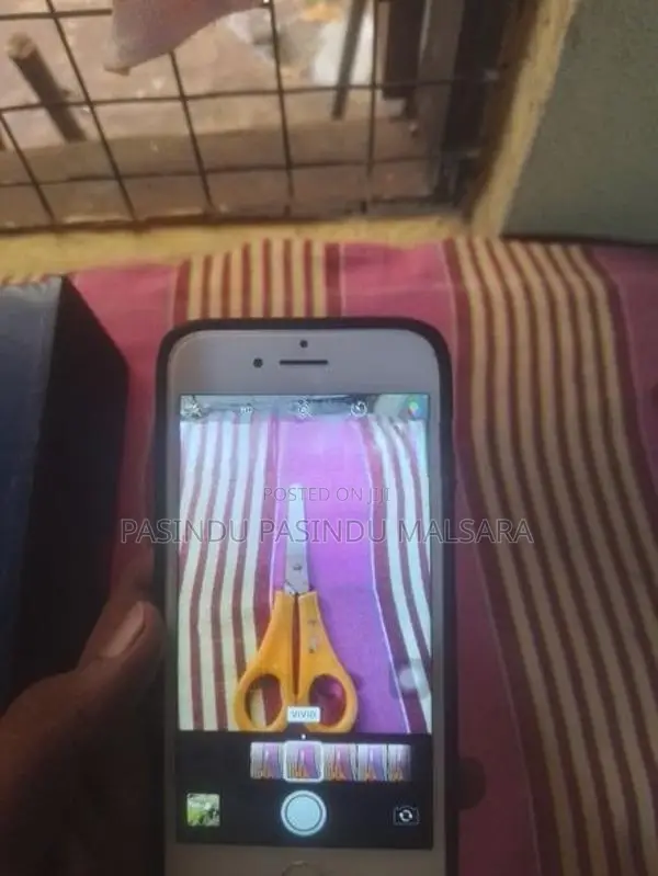 Apple iPhone 7 (Used)