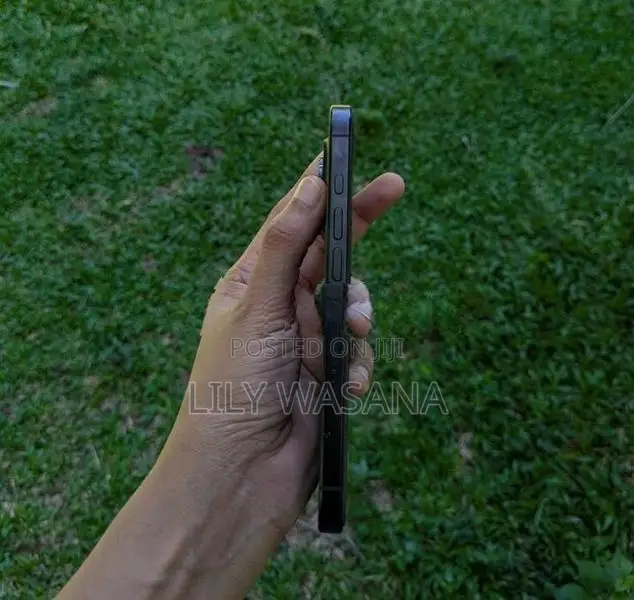 Apple iPhone 16 Pro (Used)