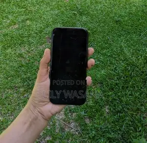Apple iPhone 16 Pro (Used)