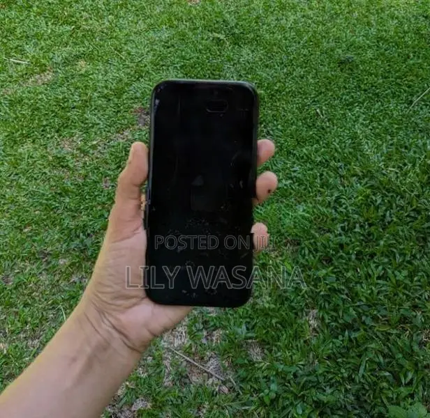 Apple iPhone 16 Pro (Used)