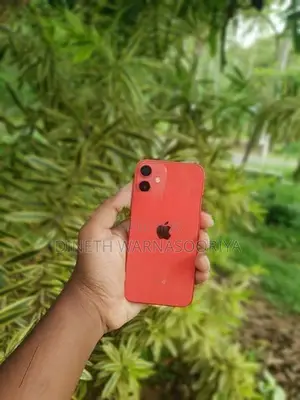 Apple iPhone 12 mini (Used)