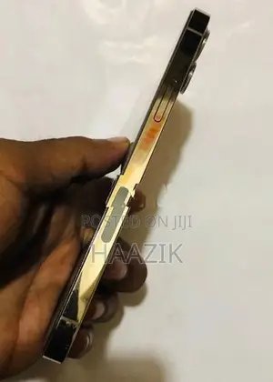 Apple iPhone 12 Pro (Used)