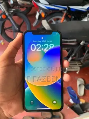 Apple iPhone X 256GB (Used)