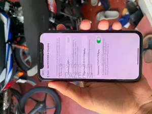 Apple iPhone X 256GB (Used)