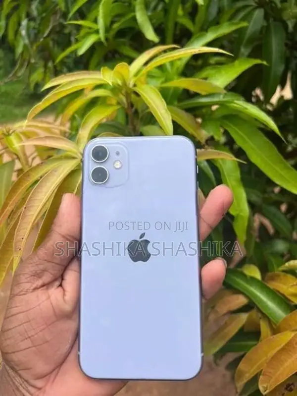 Apple iPhone 11 (Used)