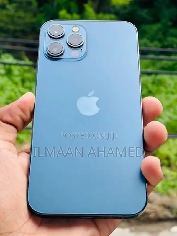 Apple iPhone 12 Pro Max 256GB (Used)