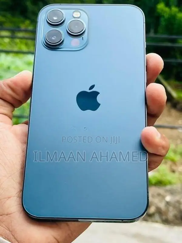 Apple iPhone 12 Pro Max 256GB (Used)