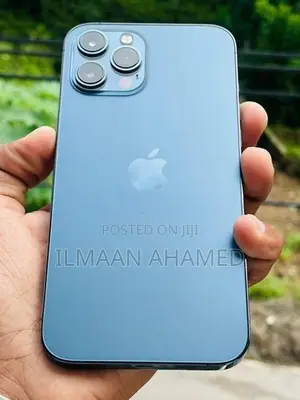 Apple iPhone 12 Pro Max 256GB (Used)
