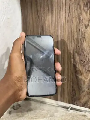 Apple iPhone 11 Pro (Used)