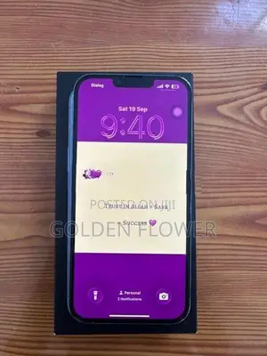 Apple iPhone 13 Pro Max 256GB (Used)