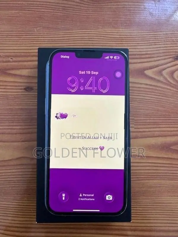 Apple iPhone 13 Pro Max 256GB (Used)