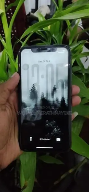Apple iPhone 11 (Used)