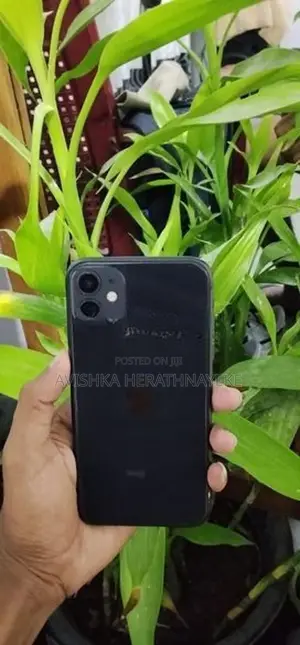 Apple iPhone 11 (Used)