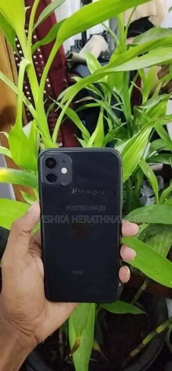 Apple iPhone 11 (Used)