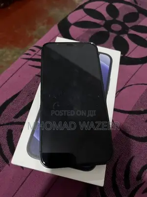 Apple iPhone 12 (Used)