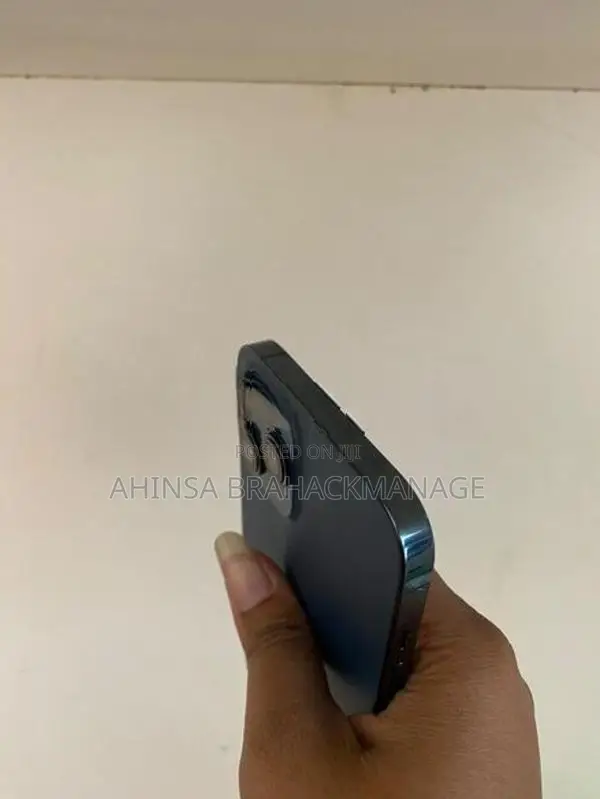 Apple iPhone 12 Pro Max (Used)