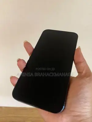 Apple iPhone 12 Pro Max (Used)