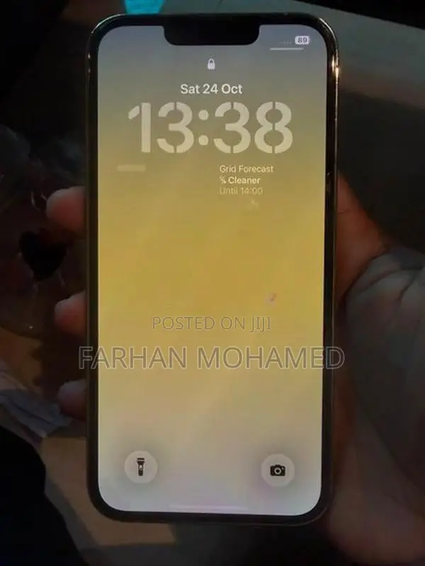 Apple iPhone 13 Pro (Used)