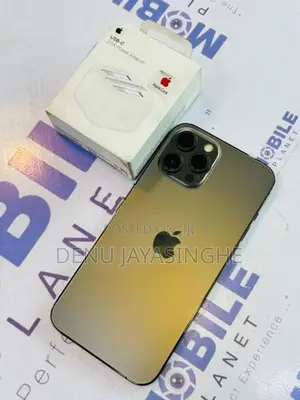 Apple iPhone 12 Pro Max 5G 128GB (Used)