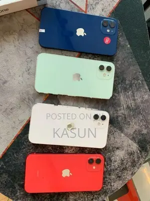 Apple iPhone 12 (Used)