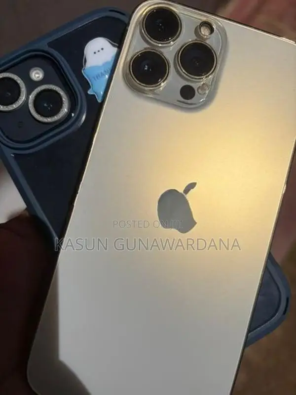 Apple iPhone 13 Pro Max (Used)