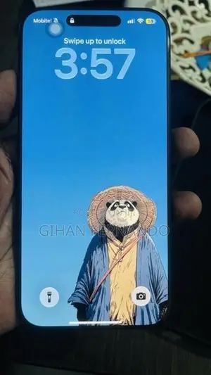 Apple iPhone 16 Pro Max (Used)