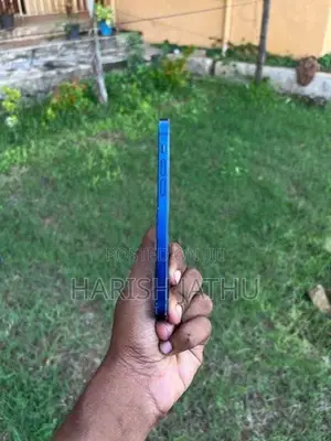 Apple iPhone 12 (Used)