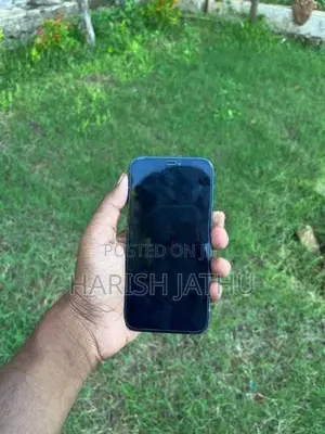 Apple iPhone 12 (Used)