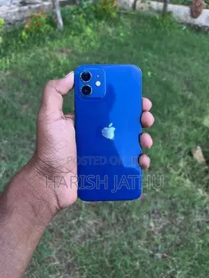 Apple iPhone 12 (Used)