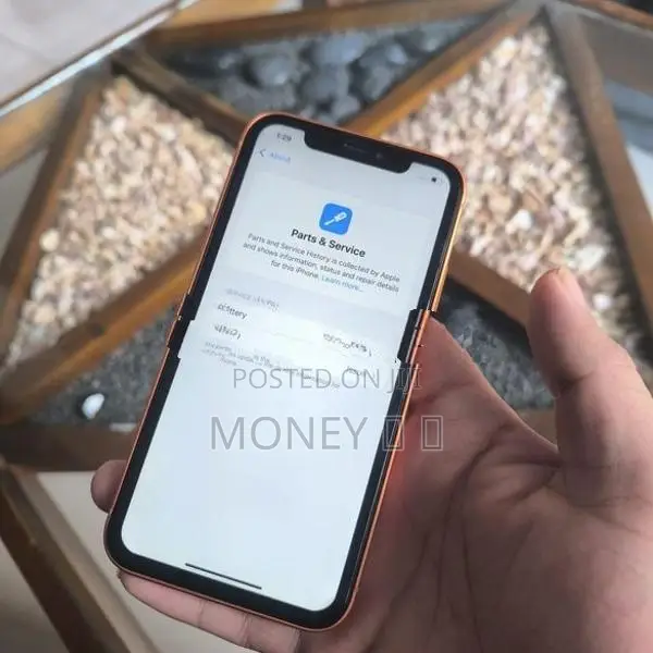 Apple iPhone XR (Used)