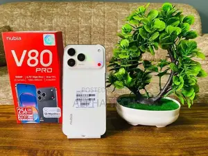 ZTE nubia V80 Pro 20GB 256GB (Used)