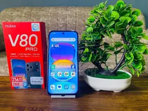 ZTE nubia V80 Pro 20GB 256GB (Used)