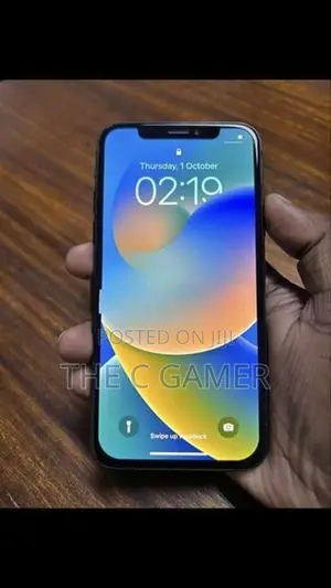 Apple iPhone X (Used)